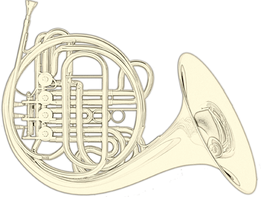 picture of a shiny horn